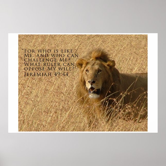 Poster Quem é Maior (Frente)