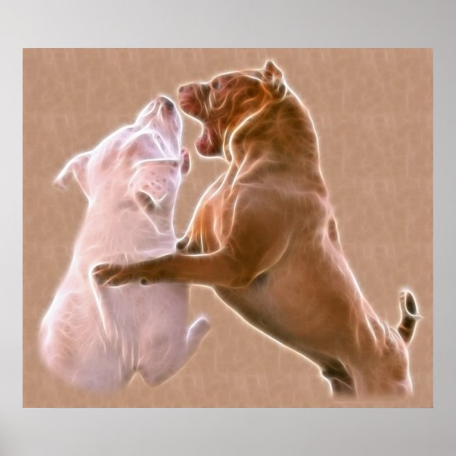 Póster Quem é o Líder do Pacote? (Frente)