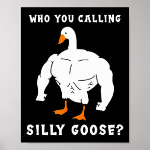 Poster Quem Você Chama De Bobo Goose Funny Gym Meme