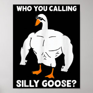 Poster Quem Você Está Chamando de Ganso Bobo Meme Diverti