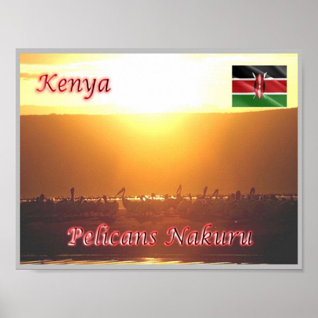 Poster Quênia - Pelicanos Nakuru - (Frente)