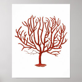 Póster Quente Red Sea Coral n.º 4 Beach Wall Art Impressã
