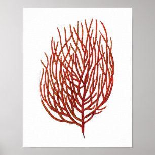 Póster Quente Red Sea Coral n.º 9 Beach Wall Art Impressã