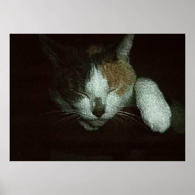 Poster Querido Dormindo em uma Árvore de Gatos (Frente)
