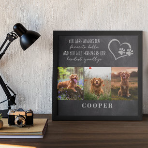 Poster Querido Olá Mais Difícil Adeus Memorial de Pet