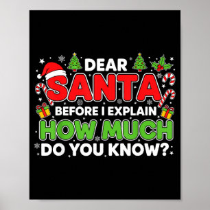Poster Querido Papai Noel Posso Explicar Piadas de Natal