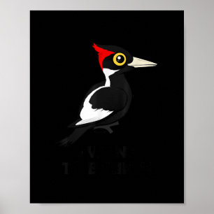 Poster Quero Acreditar No Pica-Pau De Marinha Birdorab