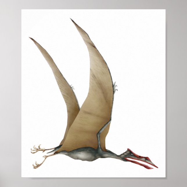 Poster Quetzalcoatlus (Frente)