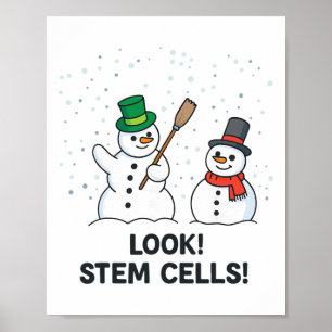Poster Química Divertida Natal Professor de Ciências Olha