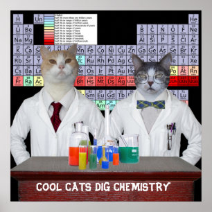Póster Química legal da escavação dos gatos