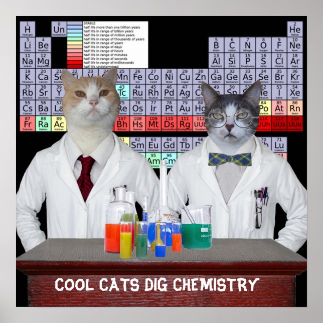 Póster Química legal do Cats Dig (Frente)