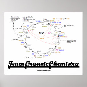 Póster Química Orgânica de Equipe (Krebs Cycle TCAC)