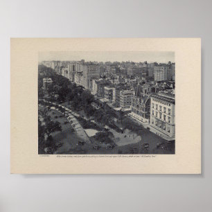 Poster Quinta Avenida, Rua 59, Central Park, Milionários