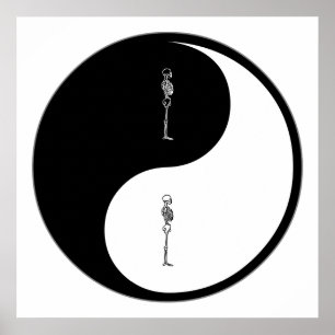 Poster Quiroterapia de Yin Yang