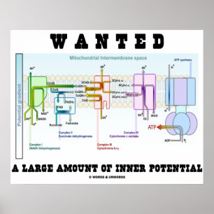 Póster Quis uma grande quantidade de potencial interno
