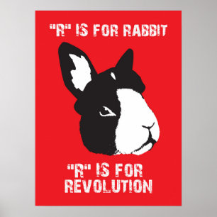 Poster R é