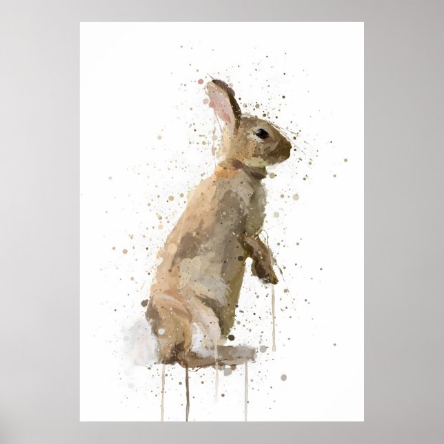 Poster Rabbit (Frente)