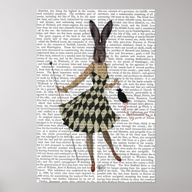 Poster Rabbit em vestido branco preto (Frente)