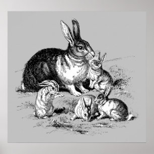 Poster Rabbit Family - Archival Print