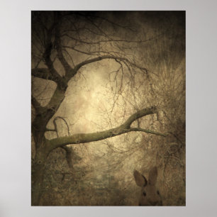 Póster Rabbit Woods