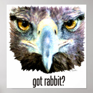 Póster Rabbitr obtido?