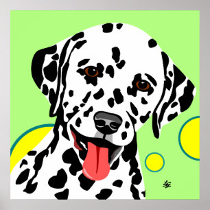 Póster Raça de Cão Dálmata