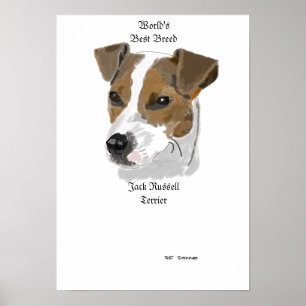 Póster Raça do mundo de Jack Russell a melhor
