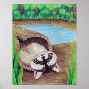 Poster Raccoon