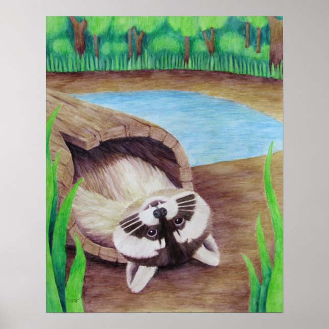 Poster Raccoon (Frente)