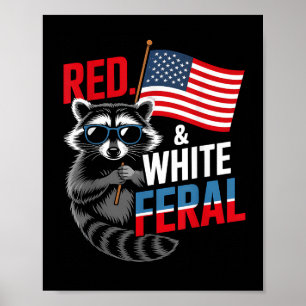 Poster Raccoon 4 De Julho Patriótico Vermelho Branco E F