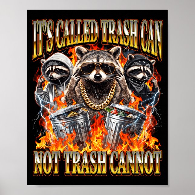 Poster Raccoon It's Called Trash Can Not Trash Cannot Fun (Frente)