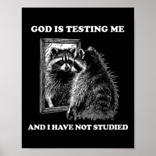 Poster Raccoon Meme Engraçado Dizer Que Deus Está Me Test