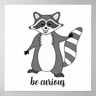 poster Raccoon "Seja curioso"