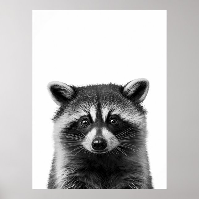 Poster Raccoon Woodland Modern Retrato preto (Frente)