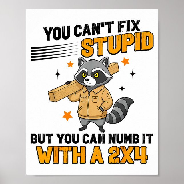 Poster Raccoon You Can't Fix Stud But You Can Numb It Wit (Frente)