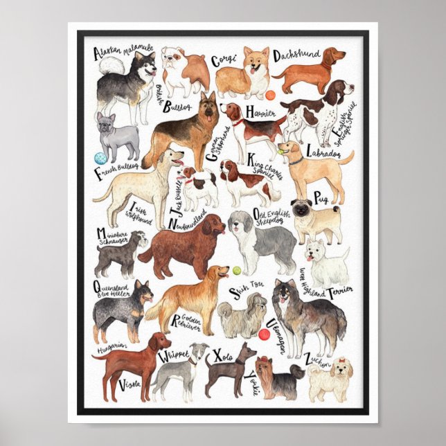 Poster Rações de Cães (Frente)