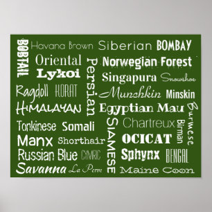 Poster Rações de Gatos