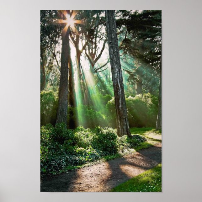 Poster Radiante (Frente)