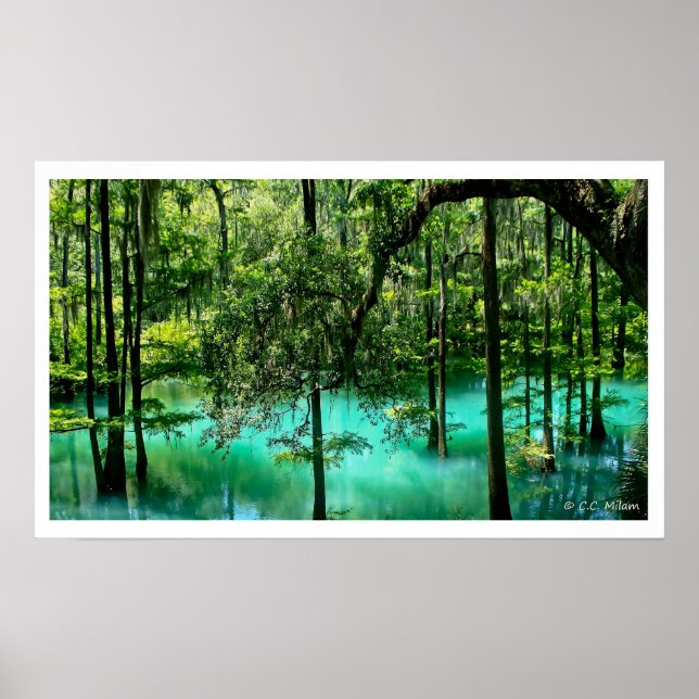 Poster Radium Primavera, Albany, Geórgia (Frente)