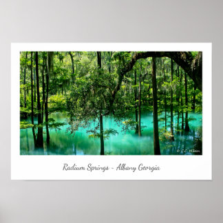 Poster Radium Primaveras ~ Albany Georgia