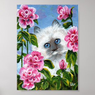 Póster Ragdoll Gato Rosa Rosas Rosa Siamês - Criações