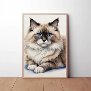 Poster Ragdoll - Ilustração de Gato Ragdoll - Pet Cozy