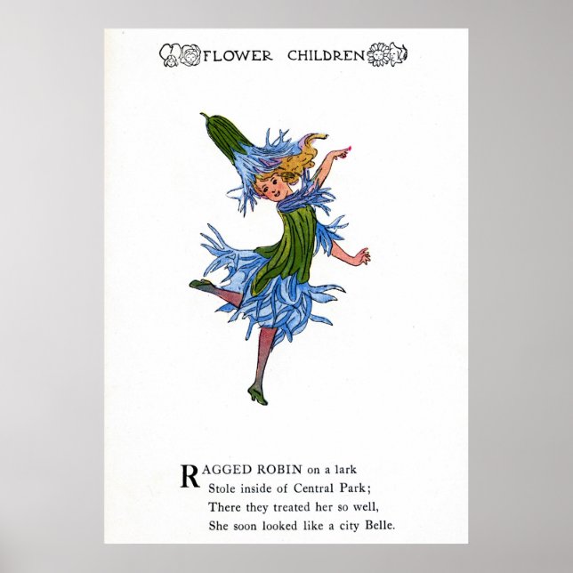 Poster Ragged Robin (Frente)