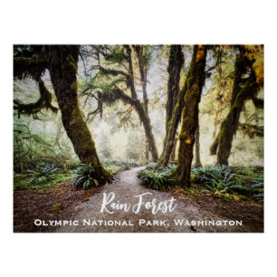 Póster Rain Forest ・ Parque Nacional da Olimpiadas, Washi