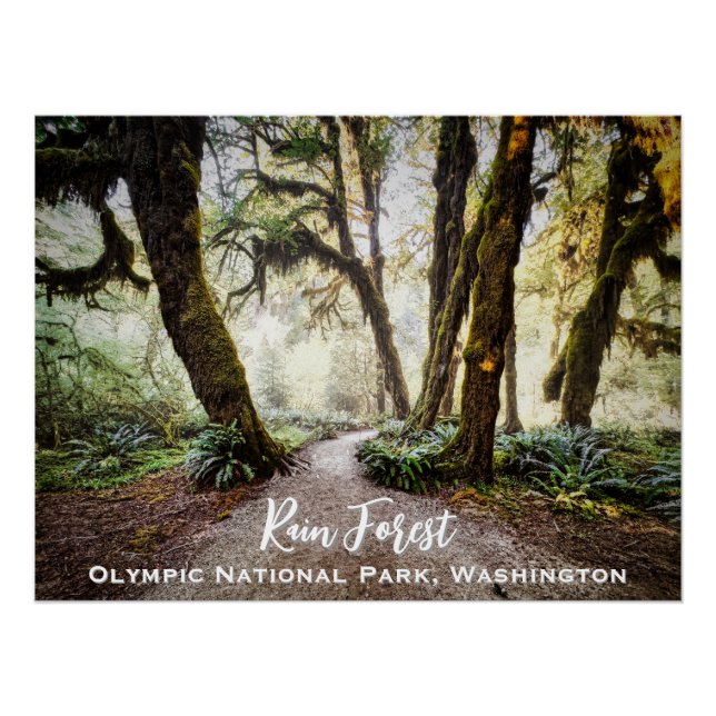 Póster Rain Forest ・ Parque Nacional da Olimpiadas, Washi (Frente)