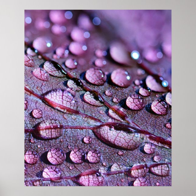 Poster Rain Rain Puro (Frente)