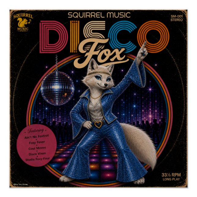 Póster Raina do Disco (Frente)