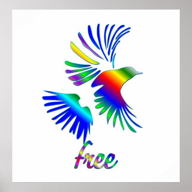Poster Rainbow Bird (Frente)