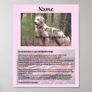 Poster Rainbow Bridge Pet Memorial Pink