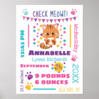 Rainbow Confetti Gatinho Gatinho Gato Bonito Estat